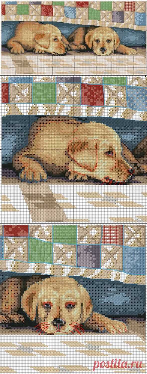 Вышивка крестом щенки. Схема вышивки крестом собаки | Домоводство для всей семьи