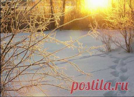 TIK Akimirka - Metraščio nuotraukos