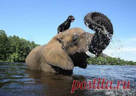 Friendship04-610x430.jpg (610×430)