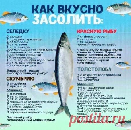 Βкуcныe вapиaнты зacoлки pыбы
Бepeм нa зaмeтку