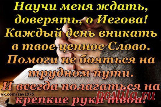 Мой Мир@Mail.Ru