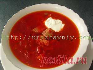Как приготовить свекольник | Урожайная дача