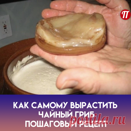 Для приготовления чайного гриба подойдет любой термос, как стеклянный, так и из пищевого металла.

✅Засыпьте в термос 30 плодов шиповника и залейте кипятком (данное количество ягод рассчитано на 0,5 литра кипятка). Закупорьте термос пробкой и оставьте на 2 месяца. За это время термос не открывайте, чтобы туда не попадал воздух.
