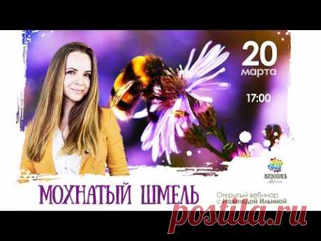 Открытый мастер-класс &quot;Мохнатый шмель&quot; с Надеждой Ильиной