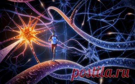 Кислотно-щелочное равновесие: основные химические процессы в организме