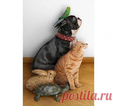 Фразы,Высказывания,Стихи,Цитаты,Видео...
Елена Станова