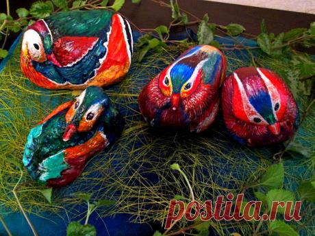 Мои уточки мандаринки