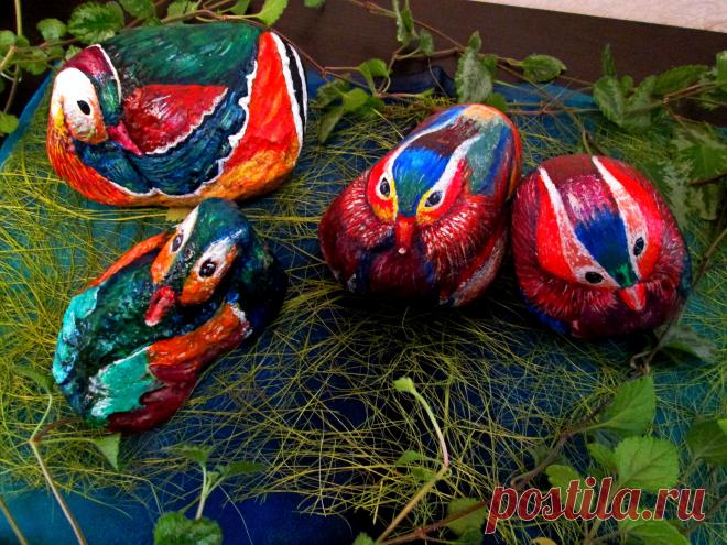 Мои уточки мандаринки