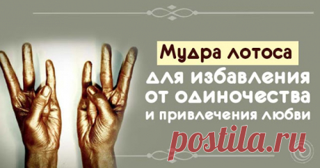 Мудра лотоса для избавления от одиночества и привлечения любви 

Источник: Dailyhoro.ru
 
Отсутствие любви лишает сил, а порой и смысла жизни. Именно в моменты вынужденного и затянувшегося одиночества на помощь приходят мудры, помогающие обрести взаимную любовь.
…