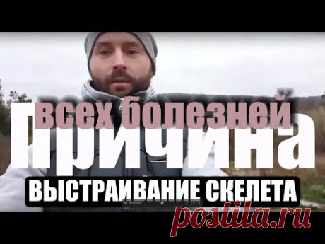 Причина всех болезней | Выстраивание скелета|