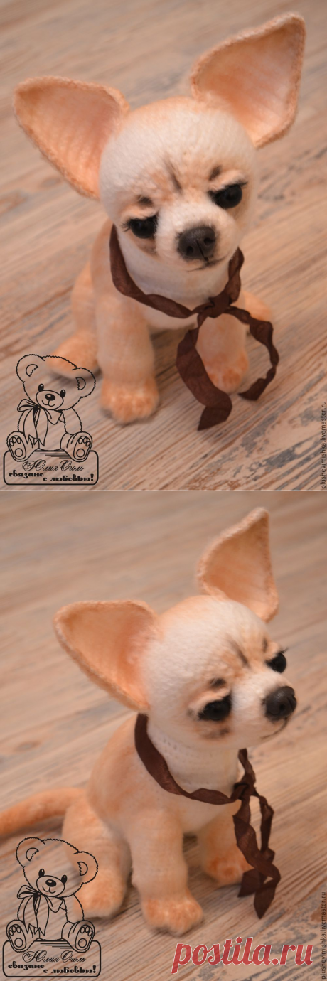 Купить Ева - бежевый, чихуахуа, чихуа, чих, собака, собачка, собаки, собака игрушка, собачки