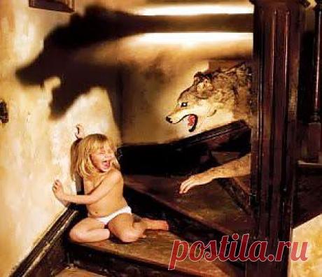 Болезни от лекарств и страхов | Друг пенсионера
Дорогие читатели, моя статья — это предупреждение тем больным, которые испугались своего диагноза и от страха начали сразу же применять сильнодействующие лекарства.