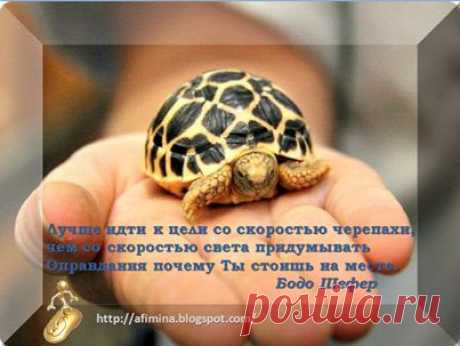 (3) Лицо бизнеса