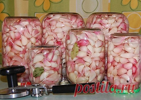 Маринованный чеснок холодный способ ! вкусняшка

Состав:
Чеснок – 1 кг
Вода – 600 мл
Сахар – 4 ст. л.
Чеснок – 4 ст. л.
Черный перец горошком – 7 шт.
Гвоздика – 10 бутонов
Уксус – 3 ст. л.

Приготовление:
Очистите овощ от верхнего слоя шелухи.
В отдельную кастрюлю добавьте воду, сахар, соль, гвоздику и перец горошком. Вскипятите, снимите с огня кастрюлю и влейте уксус.
В стеклянную банку уложите рядами головки и доверху залейте маринадом.
Плотно закройте крышкой и уберите ...