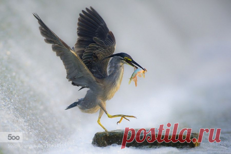 500px - Surfingbird