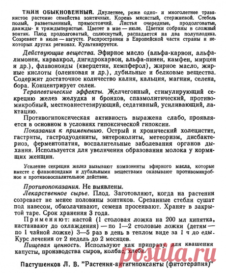 Тмин обыкновенный