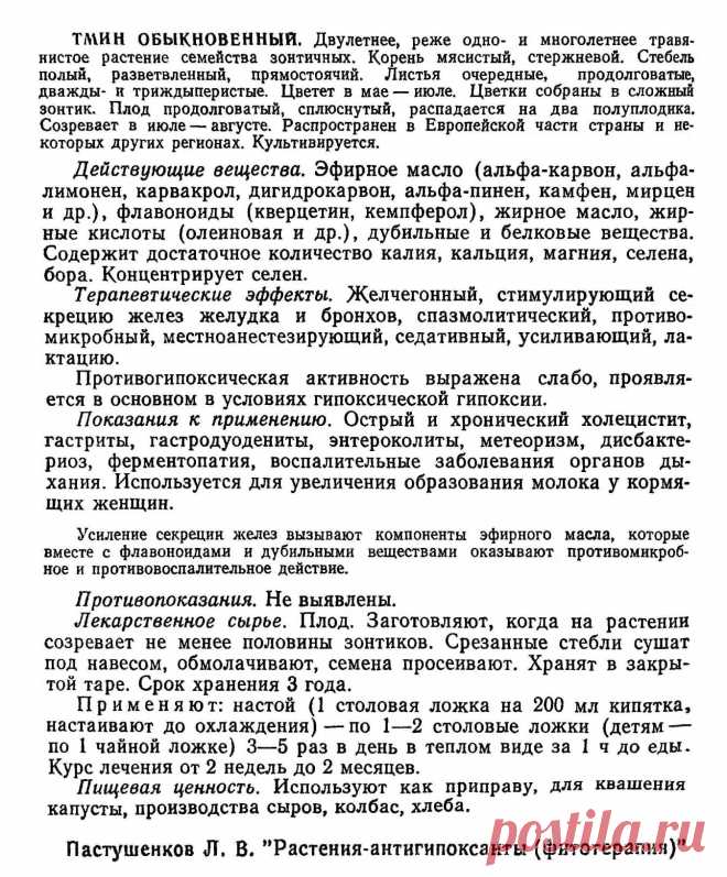 Тмин обыкновенный