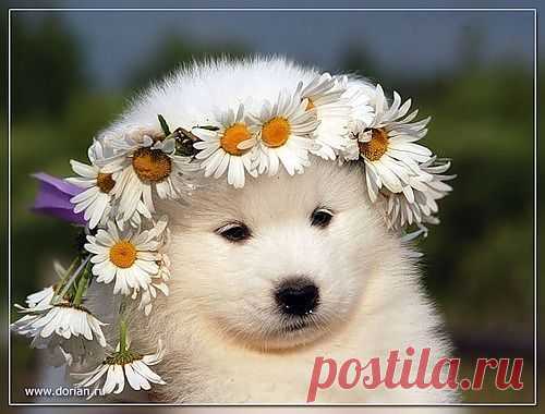 Позитив
