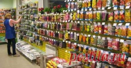 Репа, применение в народной медицине - 3 — FloraPrice.Ru