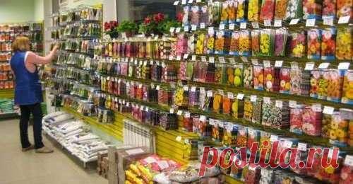 Репа, применение в народной медицине - 3 — FloraPrice.Ru