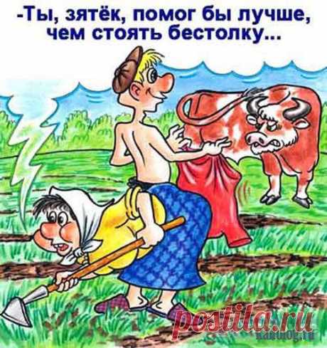 ОЧЕНЬ ИНТЕРЕСНЫЕ СОВЕТЫ ОГОРОДНИКАМ. | Познавательный сайт ,,1000 мелочей&quot;