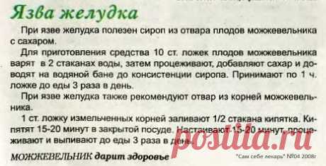 Язва желудка