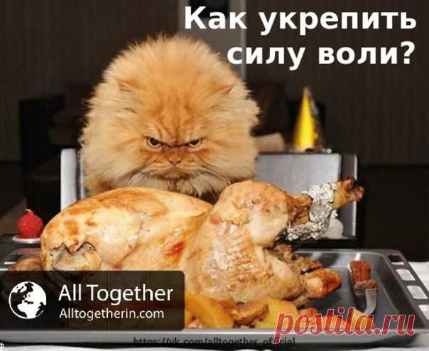 All Together. Официальное сообщество. МЛМ-бизнес