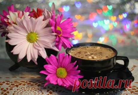 perfect-morning-with-tea-flowers.jpg (879×605)
