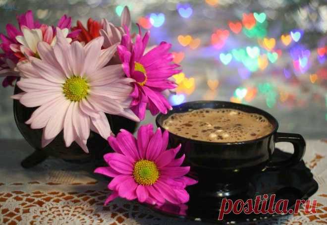 perfect-morning-with-tea-flowers.jpg (879×605)