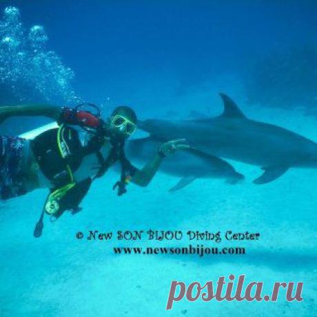 New Son Bijou Diving Center - Diving Schools
