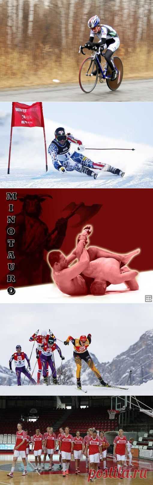 Муай тай, Скелетон, Авиамодельный спорт, Крикет. (1/1) - Спортивный форум. - Спортивный сайт
