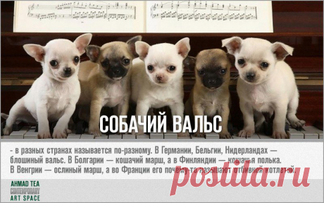 ART- объекты | 19 фотографий