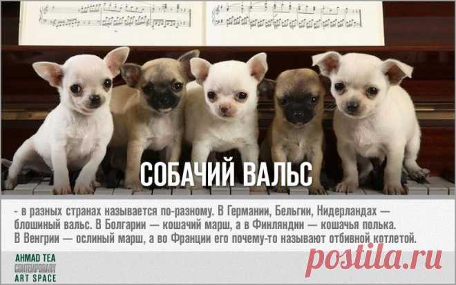 ART- объекты | 19 фотографий