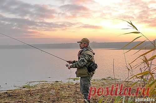 DES9924 — «P1020734а.jpg» на Яндекс.Фотках
На шуку