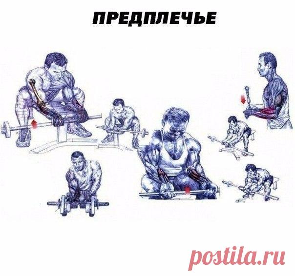 Прокачка всего тела💪 / Спорт Сильных!