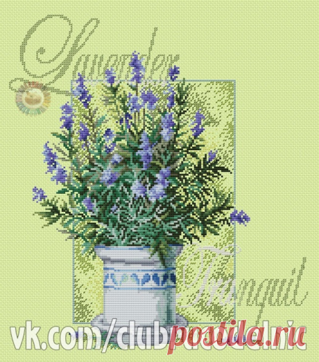 Gallery.ru / Фото #1 - lavender tranquil - denise10