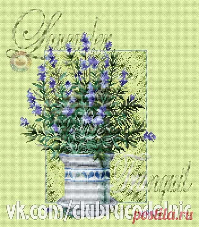 Gallery.ru / Фото #1 - lavender tranquil - denise10
