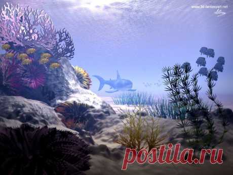 акула в риф вектор - ForWallpaper.com