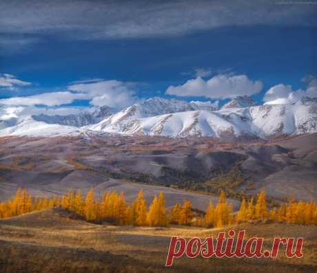 Осенний Алтай. Курайский хребет. Фото сделал Константин Цыбин: nat-geo.ru/photo/1171605