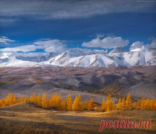 Осенний Алтай. Курайский хребет. Фото сделал Константин Цыбин: nat-geo.ru/photo/1171605