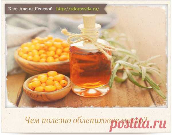 Чем полезно облепиховое масло для красоты и здоровья