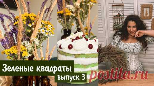 Зелёные квадраты с Анастасией Рыкалиной. Выпуск 3 | Дачные Сезоны с Мариной Рыкалиной | Дзен