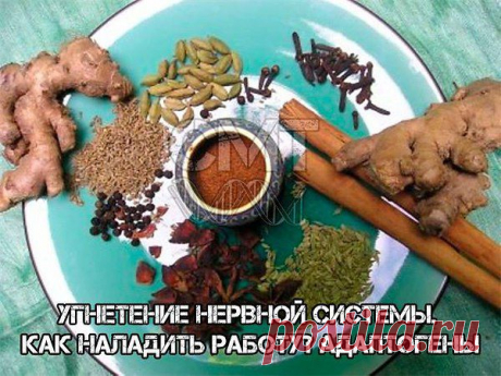 Фото пользователя Виктор, Ашхабад, 59 лет