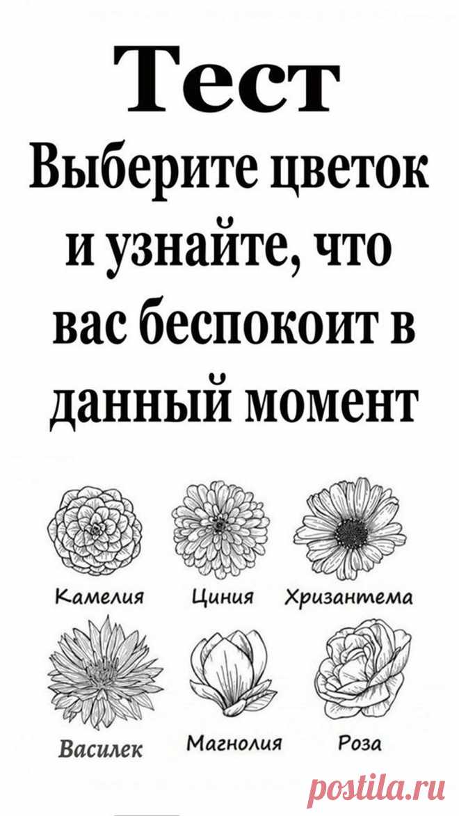 Цветок, который вас больше всего нравится, выдает тревоги вашего сердца на этапе вашей жизни в котором вы сейчас находитесь. Узнайте, какие они и как их преодолеть.