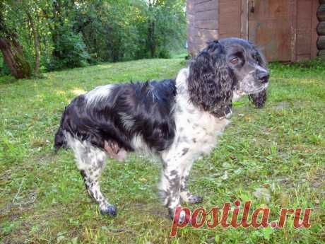 Фотография - Google Фото