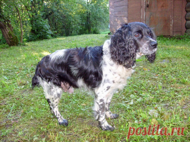 Фотография - Google Фото