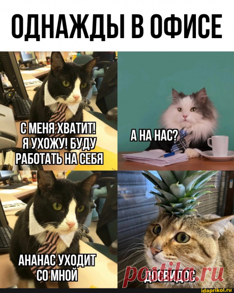 ОДНАЖДЫ В ОФИСЕ С МЕНЯ ХВАТИТ!... УХОЖУ БУДУ &quot;ИАНАС? РАБОТАТЬ НА СЕБЯ АНАНАС УХОДИТ.._ омй ДОСВИДОС - АйДаПрикол