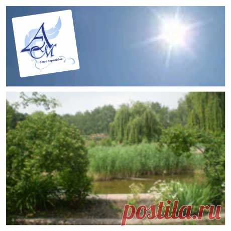1 июля! Лето! Жара! 🌕🌅 Если Вы готовитесь в отпуск 🌊🌴 за границу, значит Вам к нам. Мы подготовим документы для визового центра с переводом и заверением. Все выполняем качественно и в срок. Тел ☎ 044 5995290 сайт 💻 https://antario.kiev.ua/ Бюро переводов Антарио М Киев 👍 #антариом #перевод #Киев #Украина #апостиль #бюропереводов #antariom #Kiev #Ukraine #perevod #buroperevodov #apostille #following #kievgram #instakiev