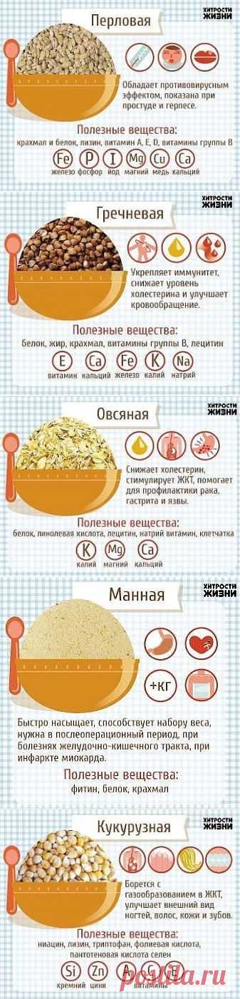 Путеводитель по кашам