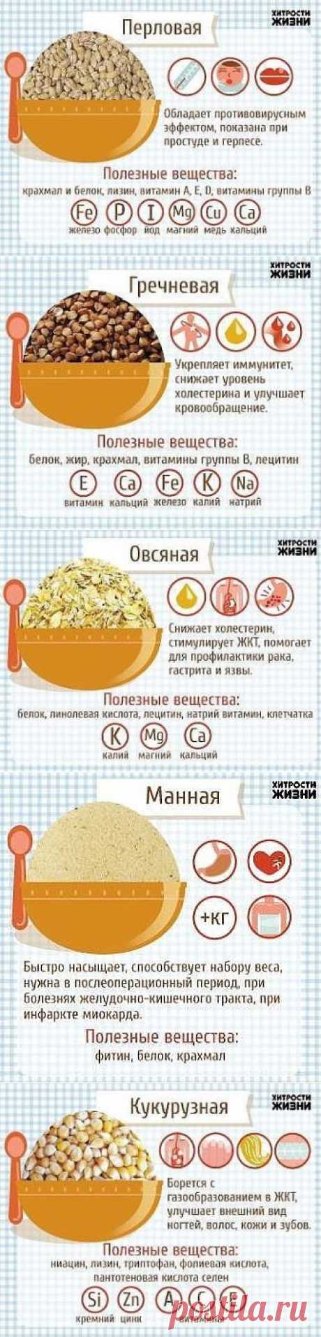 Путеводитель по кашам